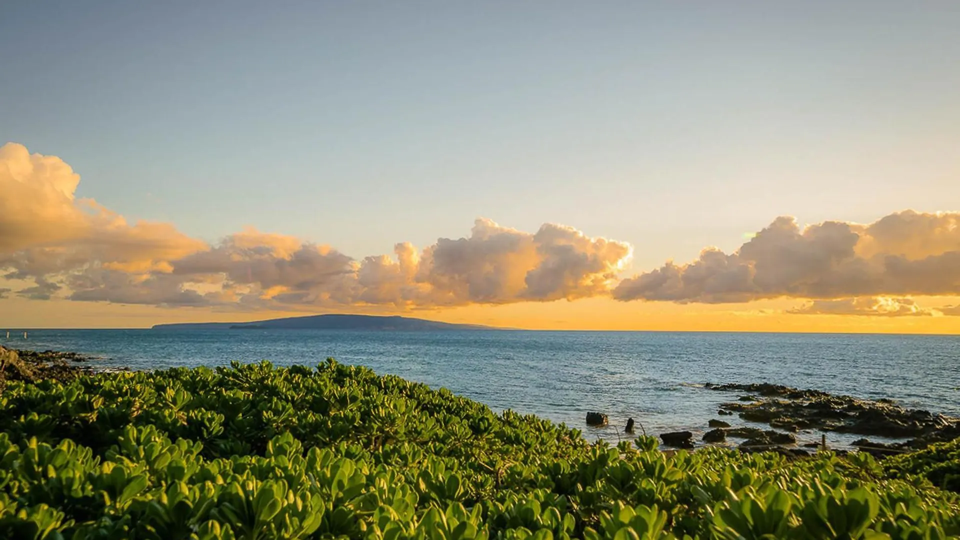 Appartement Maui Kamaole H-101 à Wailea  États-Unis